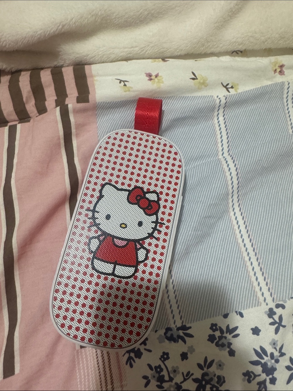 Hello Kitty Pink and Red Kids Carry Case with Bow Graphic